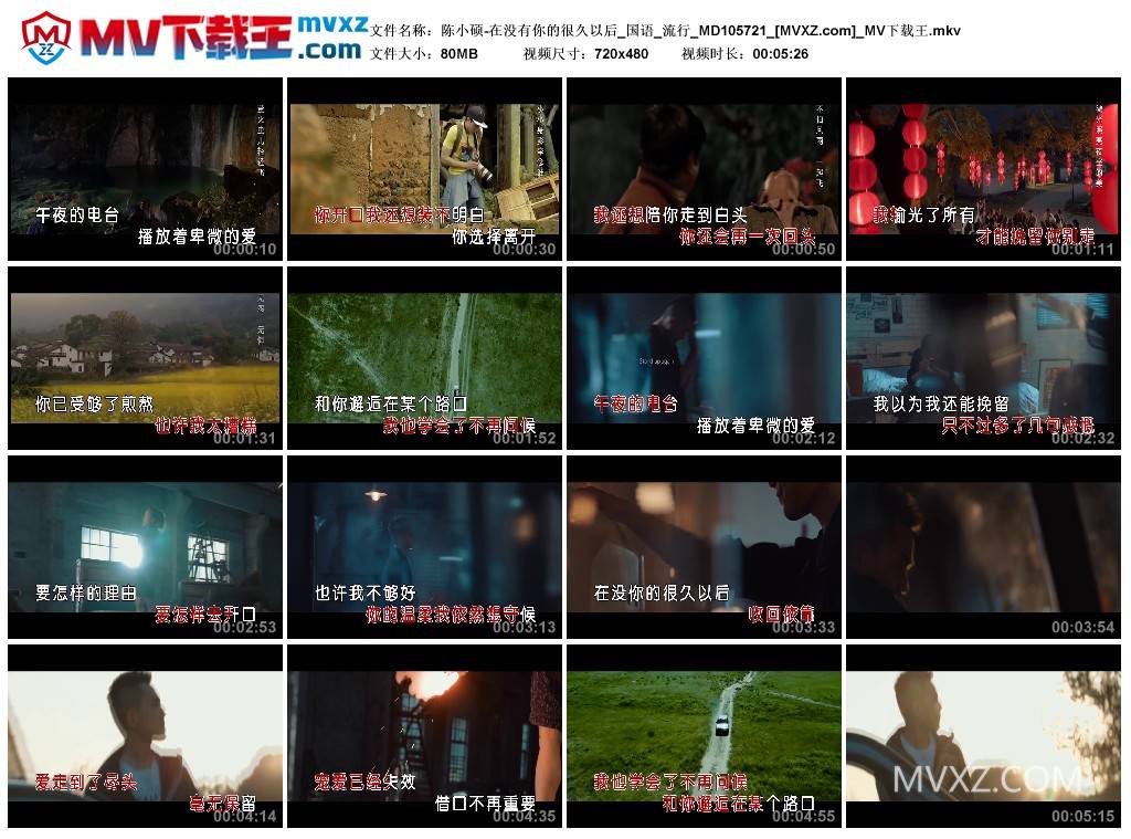 陈小硕-在没有你的很久以后_国语_流行_MD105721